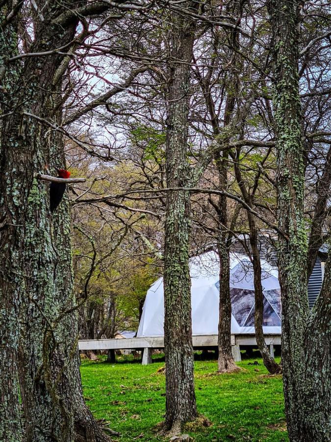 Готель Glamping Patagonia Nativa Rural Койяїке Екстер'єр фото