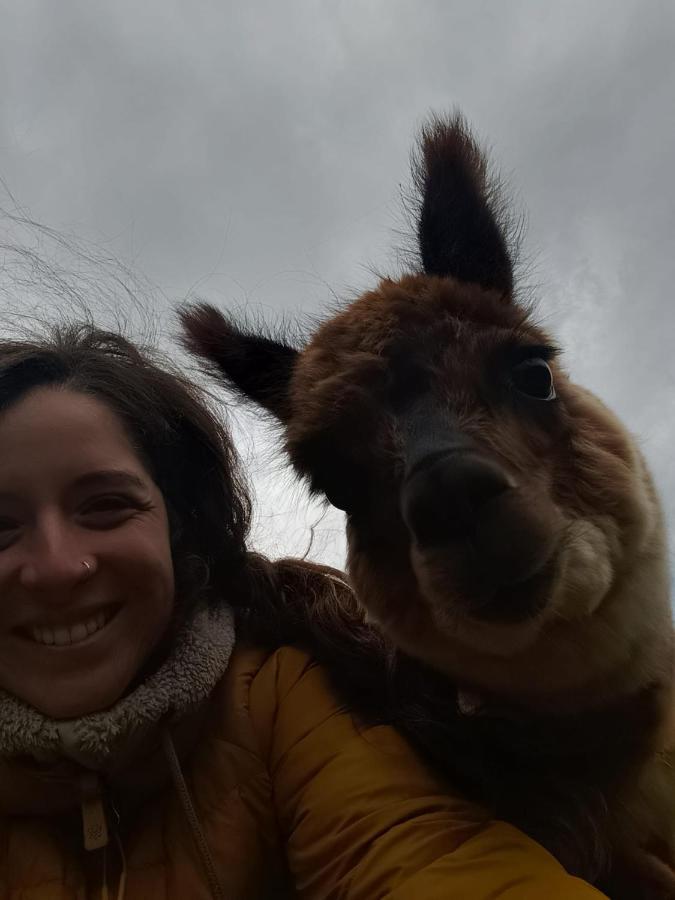 Готель Glamping Patagonia Nativa Rural Койяїке Екстер'єр фото