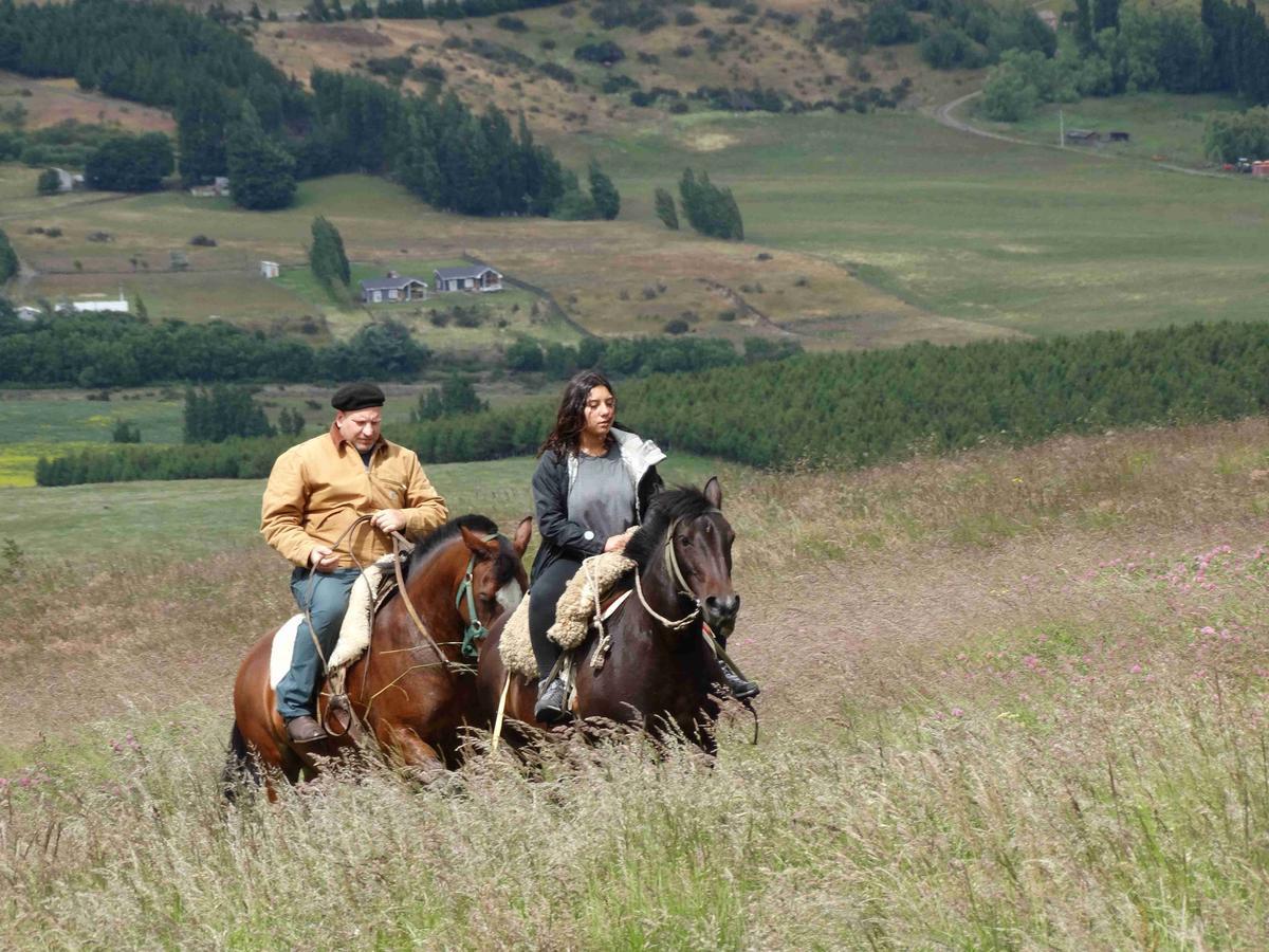 Готель Glamping Patagonia Nativa Rural Койяїке Екстер'єр фото