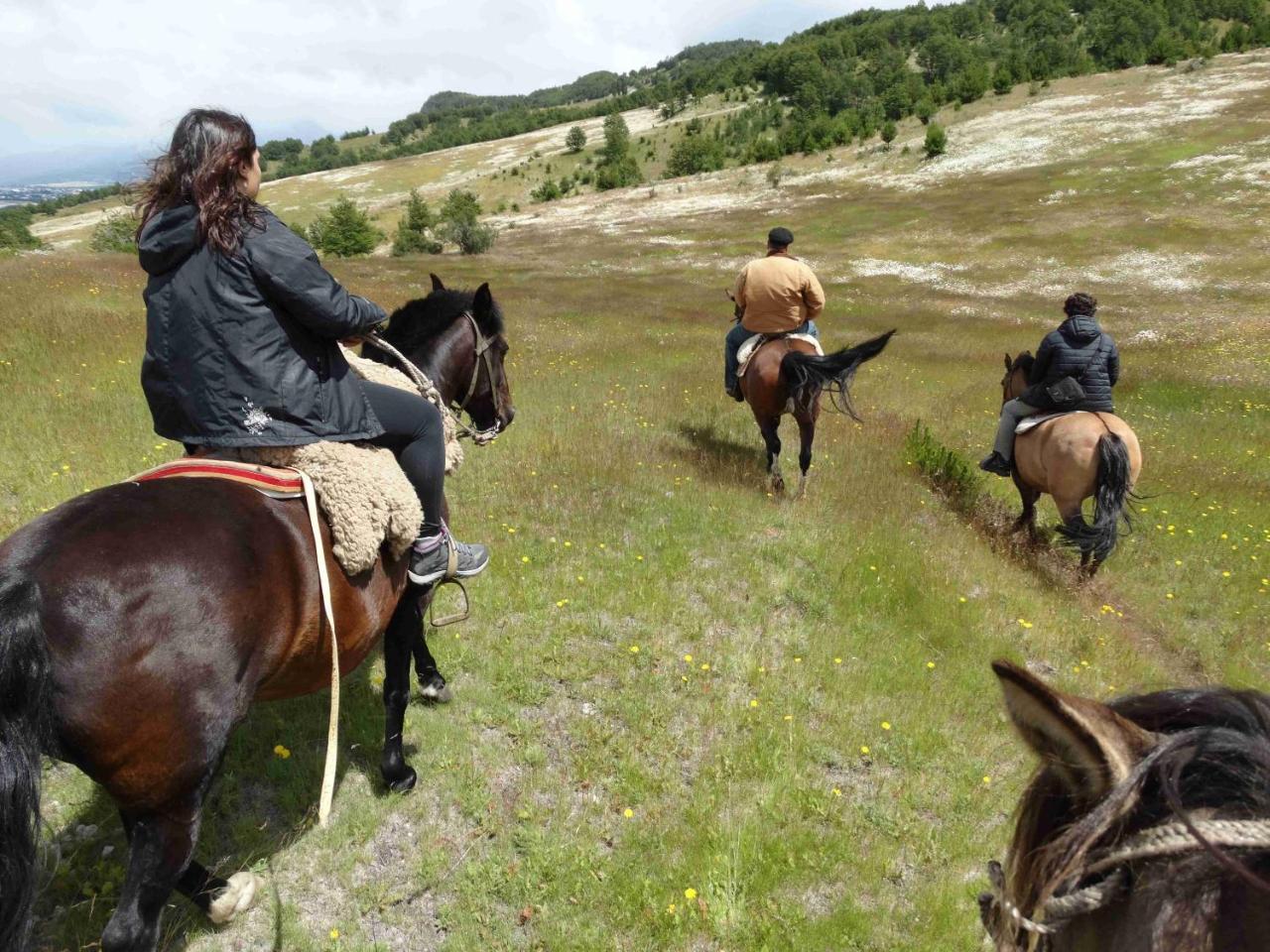 Готель Glamping Patagonia Nativa Rural Койяїке Екстер'єр фото